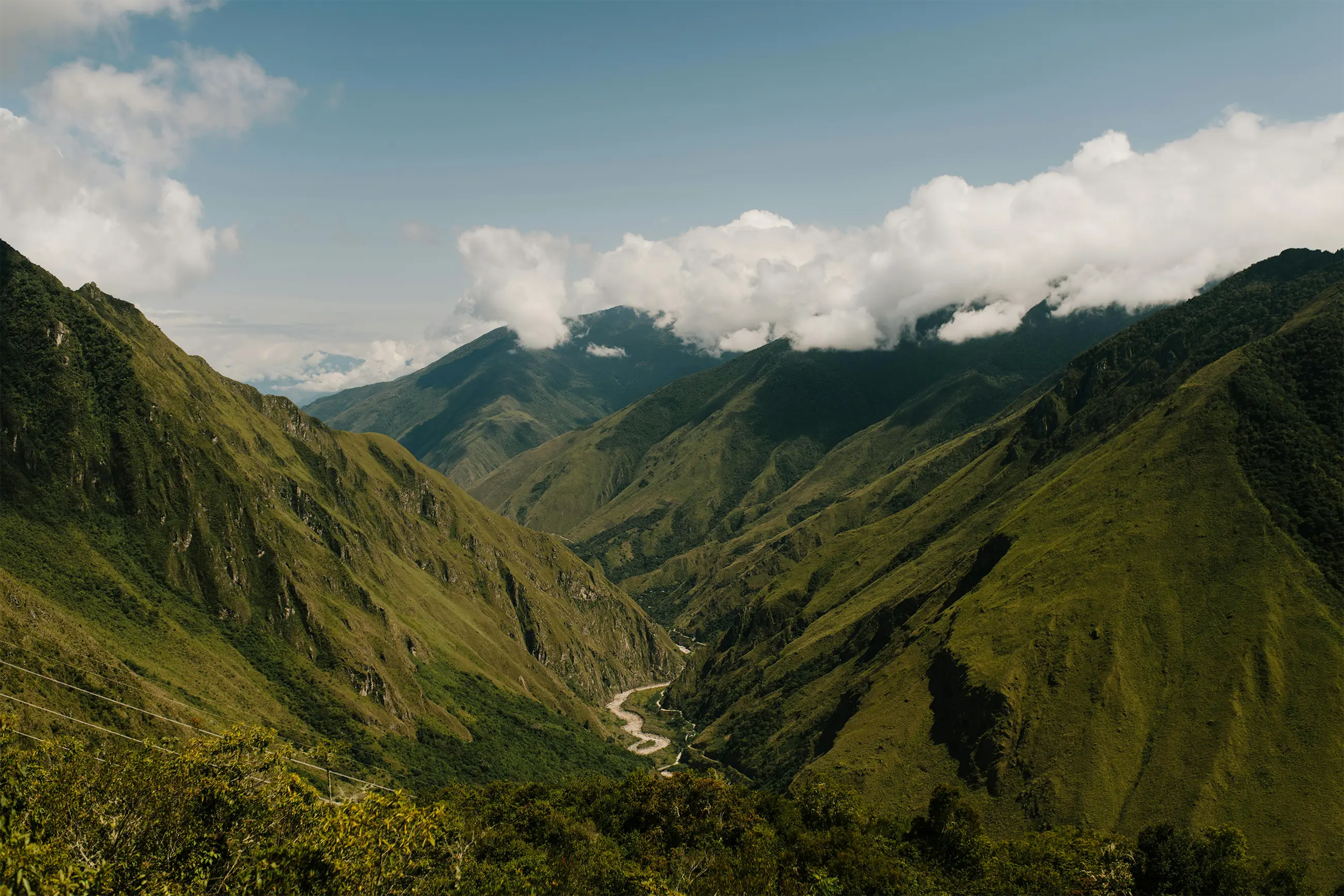 Cervezas Terra Cruz