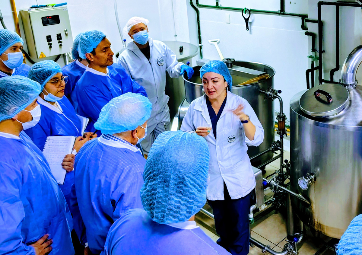 Formación y cursos de cervecería — Terra Cruz
