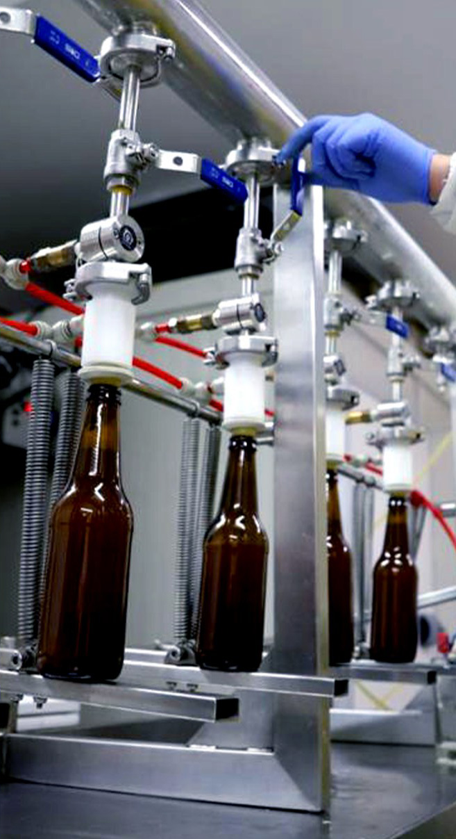 Enlatado y embotellado de cerveza — Terra Cruz