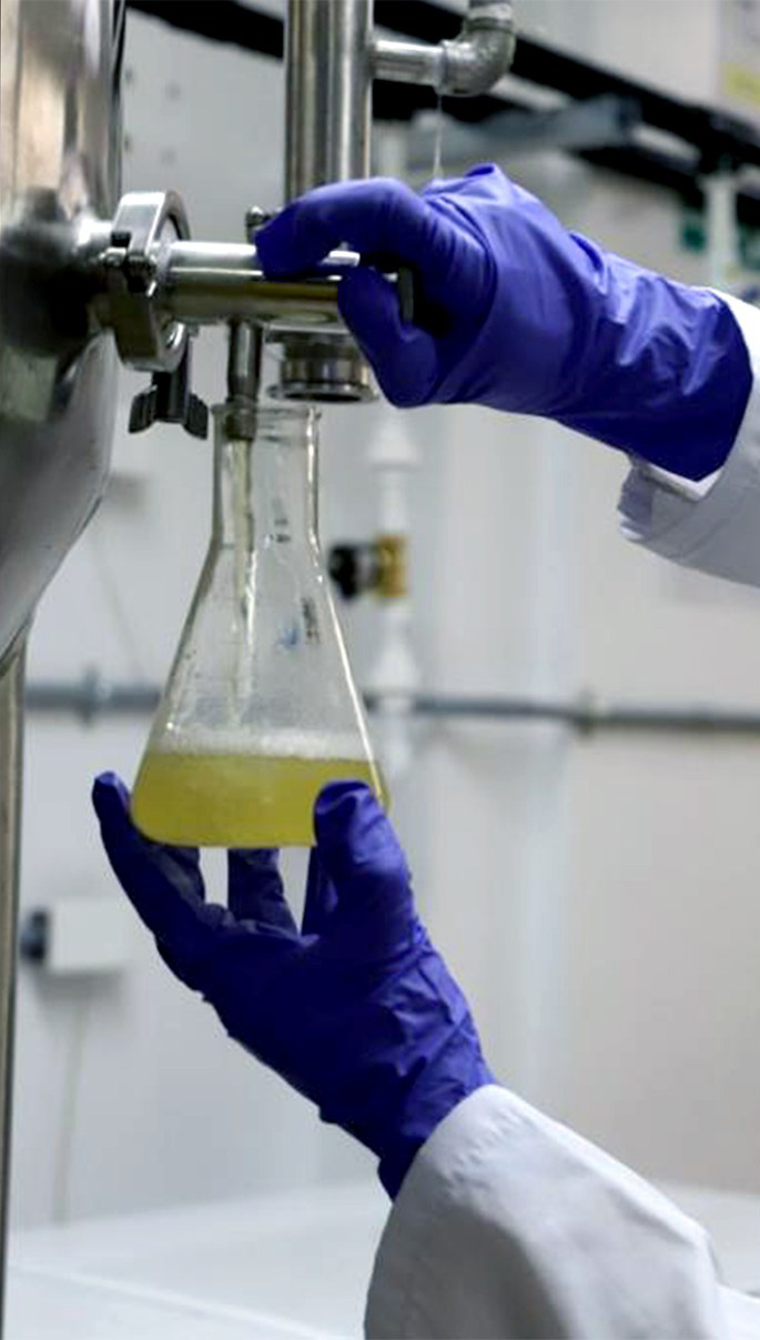 Laboratorio de análisis de cerveza — Terra Cruz
