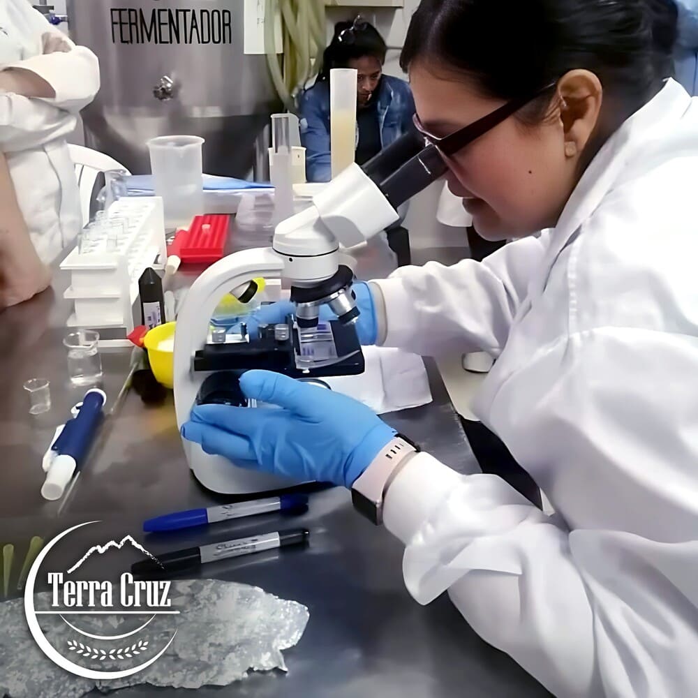 Curso pasado — práctica de microscopía